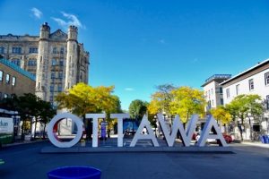 Skylight Fall Protection in Ottawa